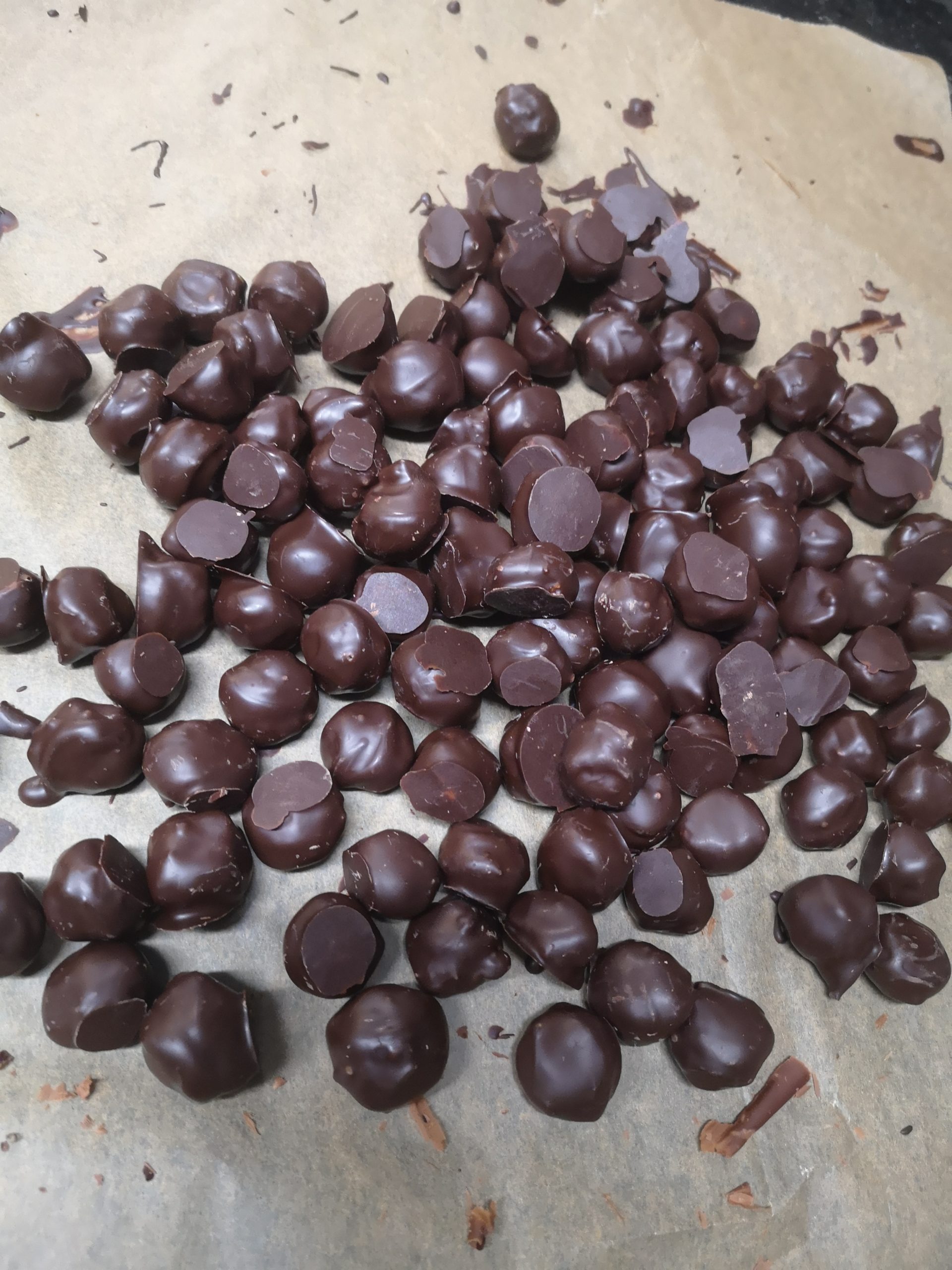 Perles de Couagga