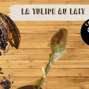 Tulipe creuse - Chocolat au lait 42 % Haïti